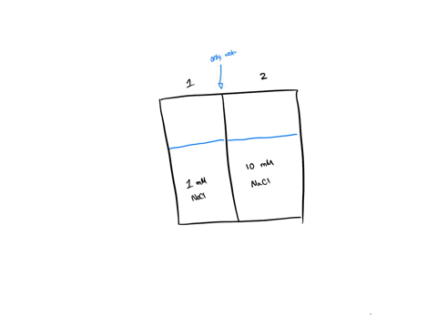 an-equal-amount-of-solution-is-added-to-two-chambers-that-are-separated-by-a-membrane-the-concentration-of-solutes-is-given-below-three-potential-outcomes-once-the-system-reaches-equilibrium-25023