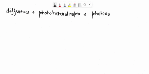 what-is-the-key-difference-between-photoheterotrophs-and-photoautotrophs-photoheterotrophs-produce-oxygen-as-by-product-photoautotrophs-do-not-photoautotrophs-only-use-bacteriochlorophyll-ph-77324