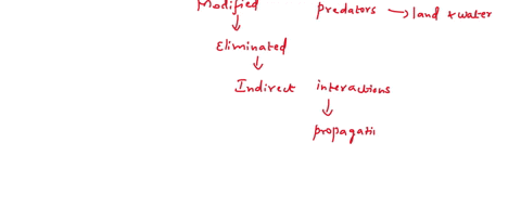 how-does-the-web-of-the-frog-react-to-the-addition-of-a-drug-on-its-web-62257