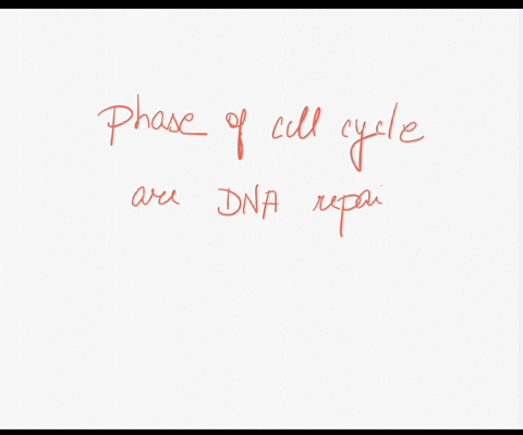 during-which-phase-of-the-cell-cycle-are-dna-repair-mechanisms-least-active-a-mathrmg_1-b-s-c-g_2-d-24396