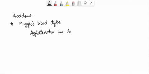 case-study-in-blood-ambulance-arrives-at-the-scene-of-an-automobile-accident-having-been-summoned-by-in-vehicle-security-system-what-the-emergency-personnel-find-is-like-scene-from-horror_-f-88044