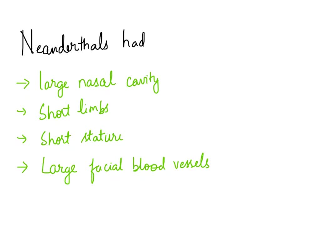 SOLVED: Neanderthals are adapted to cold environments. Choose all of ...