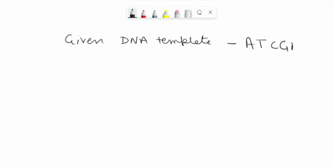 question-2-1-point-what-is-the-corresponding-transcription-of-the-rna-sequence-that-is-based-on-the-following-dna-template-dna-template-atcgac-rna-sequence-previous-page-next-page-page-1-of-67888