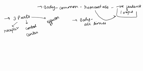 which-of-the-following-statements-about-positive-feedback-is-not-true-o-it-is-the-primary-mechanism-of-homeostatic-regulation-o-the-loop-or-cycle-can-be-broken-only-by-external-processes-o-i-29673