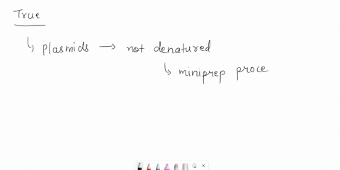 true-or-false-plasmids-are-not-denatured-during-miniprep-because-they-are-small-and-supercoiled-74747