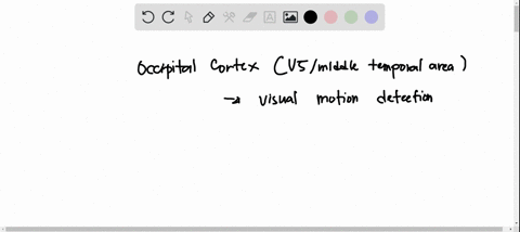 which-of-the-following-is-true-about-motion-detection-group-of-answer-choices-a-v1-can-detect-pattern-motion-b-signals-from-v4-are-averaged-in-mst-to-solve-the-correspondence-problem-c-mt-sh-55694