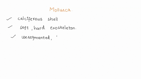 1-what-are-the-striking-characteristics-of-phylum-mollusca-which-helps-identify-mollusk-easily-and-what-are-the-impotance-of-mollusks-16504