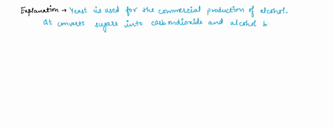 what-is-the-process-of-microbial-conversion-of-glucose-in-the-absence-of-oxygen-into-two-ethanol-molecules-and-two-co2-molecules-a-carbon-fixation-b-phosphorylation-c-fermentation-d-aerobic-74214