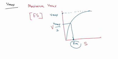 which-of-the-following-correctly-explains-vmax-choose-all-that-apply-all-the-enzymes-are-bound-to-substrate-the-reaction-is-inhibited-all-the-enzymes-are-bound-to-inhibitors-the-reaction-rat-77416