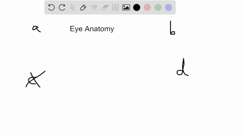 found-within-the-eye-as-a-disc-shaped-muscle-with-the-peculiar-ability-react-to-the-intensity-of-light-a-sclera-b-pupil-c-retina-d-iris-18408