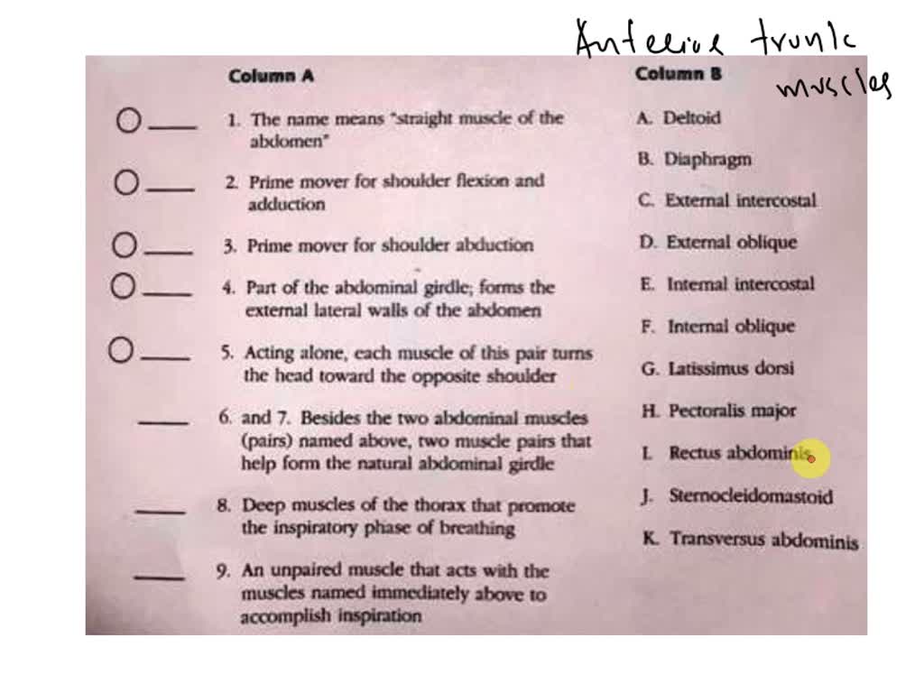 SOLVED Match the muscle names in Column B to the facial muscles