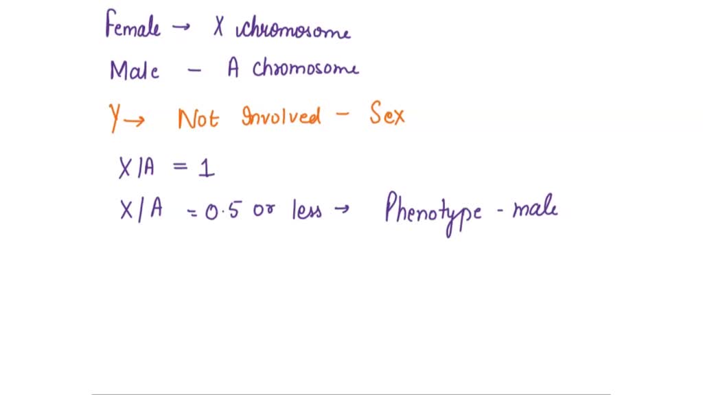 Xy Xx Sex Video - SOLVED: What is the sexual phenotype of fruit flies having the following  chromosomes? Sex chromosomes Autosomal chromosomes a. XX all normal b. XY  all normal c. XO all normal d. XXY all