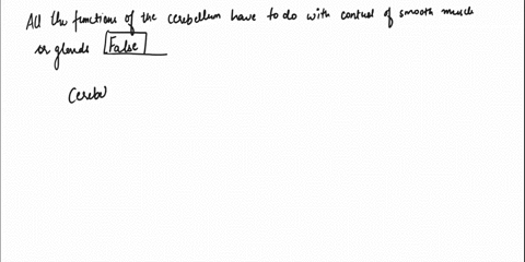 all-of-the-functions-of-the-cerebellum-have-to-do-with-control-of-smooth-muscle-or-glands-true-false-25923