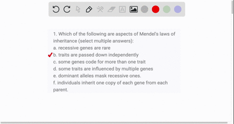 1-which-of-the-following-are-aspects-of-mendels-laws-of-inheritance-select-multiple-answers-a-recessive-genes-are-rare-b-traits-are-passed-down-independently-c-some-genes-code-for-more-than-93562