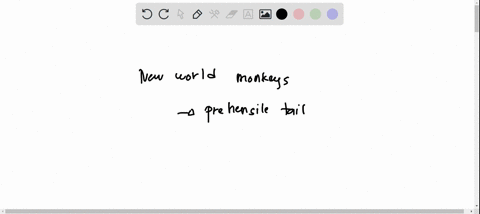 a-feature-that-distinguishes-new-world-and-old-world-monkeys-is-____-a-bipedalism-b-a-small-brain-c-a-prehensile-tail-d-a-tail-e-arm-versus-leg-length-11839