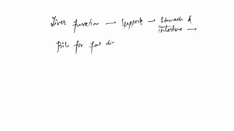 what-is-the-significance-of-the-functions-of-the-liver-to-stomach-and-intestines-explain-73186