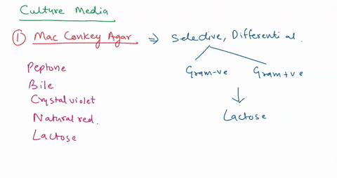 explain-the-advantages-and-limitations-of-different-types-of-culture-media-culture-techniques-and-methods-for-counting-viable-cells-62141