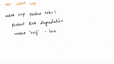 wnich of the following is not a function of the 5 cap and 3 poly a tall ...