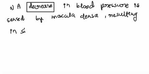 12-complete-each-statement-by-using-the-appropriate-word-or-phrase-from-the-list-a-in-blood-pressure-is-sensed-by-adh-the-macula-densaresulting-in-stimulation-of-jg-102-cells-points-the-jg-c-57408