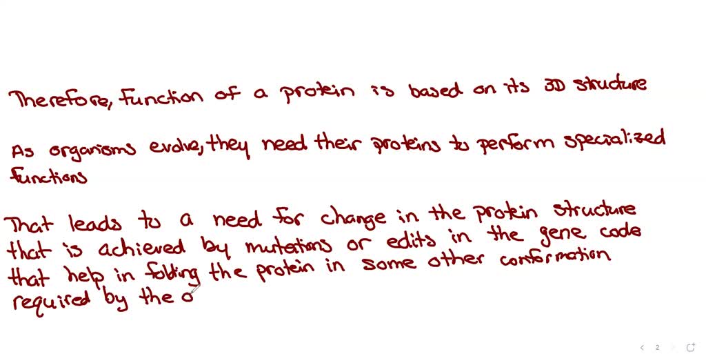 protein structure and function