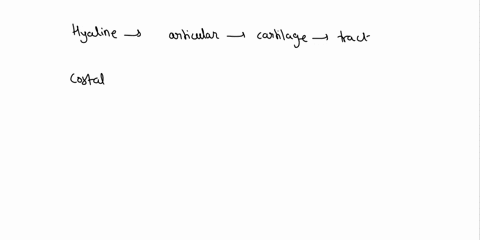 occurs-in-the-articular-cartilage-and-the-cartilage-of-the-respiratory-tract-18-nose-larynx-trachea-and-bronchi-and-costal-cartilages-b-elastic-cartilage-fibrocartilage-d-none-of-the-above-h-75572