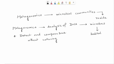 briefly-explain-the-concepts-of-molecular-systems-biology-as-they-pertain-to-microbial-ecosystems-then-discuss-how-i-metagenomics-ii-metatranscriptomics-and-iii-metaproteomics-can-be-employe-04112