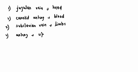 major-veins-and-arteries-of-the-body-name-and-description-toifrom-heart-description-name-jugular-vein-carotid-artery-subclavian-vein-subclavian-artery-_-inferior-vena-cava-aorta-renal-vein-r-88451