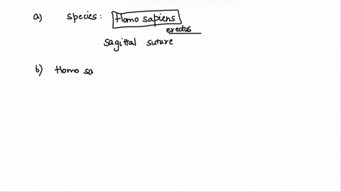 a-what-species-had-buttressing-of-the-skull-such-as-sagittal-keel-group-of-answer-choices-a-h-erectus-b-australopithecines-c-h-habilis-d-neandertals-b-give-two-features-that-are-unique-to-ho-06932