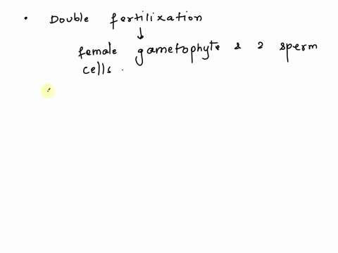 during-double-fertilization-one-sperm-fuses-with-and-the-other-with-the-polar-nuclei-the-egg-antipodals-synergids-83618