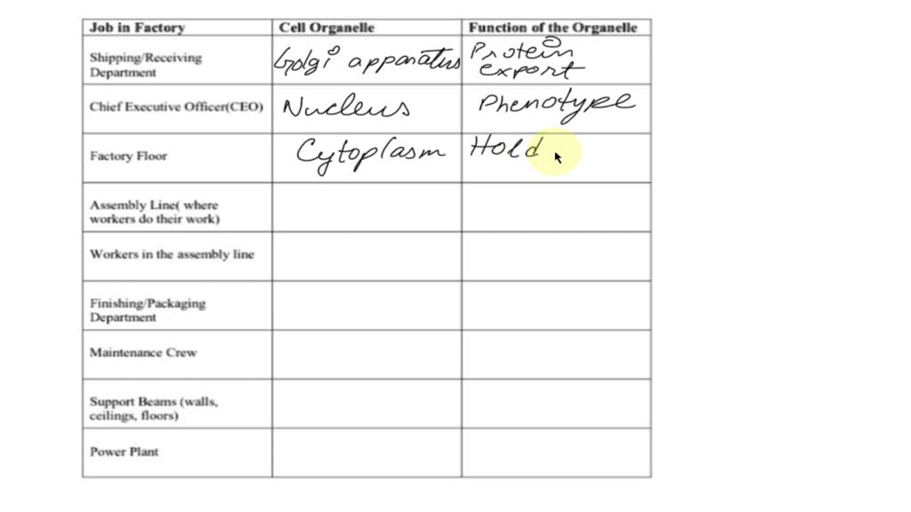 SOLVED Text Comparing the Cell to a Factory The Cell as a System