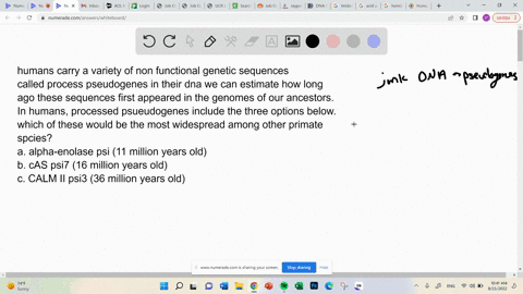 humans-carry-a-variety-of-non-functional-genetic-sequences-called-process-pseudogenes-in-their-dna-we-can-estimate-how-long-ago-these-sequences-first-appeared-in-the-genomes-of-our-ancestors-39387