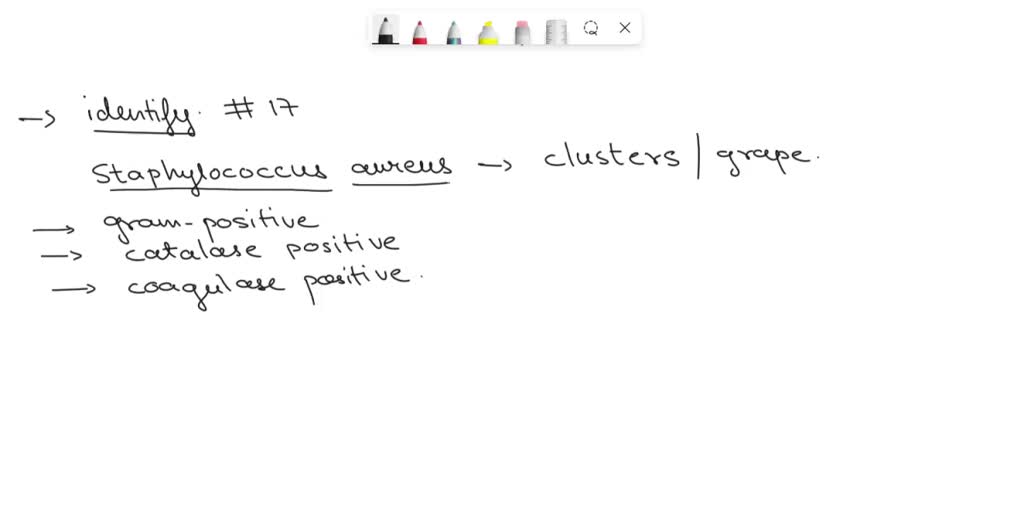 SOLVED: Text: Results to use for Your Gram Stain Data Sheet Use for #8 ...