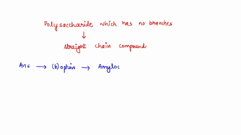 which-of-the-following-polysaccharides-if-any-contain-straight-chain-structures-without-any-branches-glycogen-amylose-amlyopectin-cellulose-76381