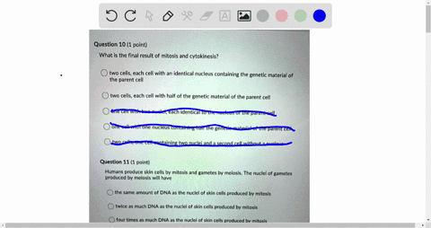 question-10-1-point-what-is-the-final-result-of-mitosis-and-cytokinesis-two-cells_-each-cell-with-an-identical-nucleus-containing-the-genetic-material-of-the-parent-cell-two-cells-each-cell-16412