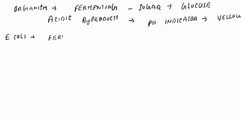 you-have-an-organism-that-is-able-to-use-glucose-as-its-sole-carbon-source-and-produces-2-3-butanediol-it-can-also-grow-on-citrate-and-produces-tryptophanase-if-you-were-to-complete-the-imvi-82617
