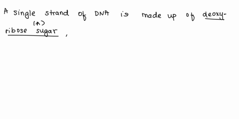 one-strand-of-dna-is-made-out-of-three-components-they-are-the-di-fierence-between-nucleoside-and-nucleotide-is-nucleoside-the-connected-nitrogen-base-through-glycosidic-bond_-connected-t0-o-19303
