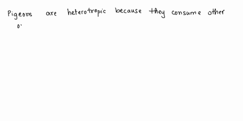 living-organisms-acquire-food-in-two-different-ways-some-organisms-are-autotrophs-and-some-are-heterotrophs-pigeons-are-an-example-of-organisms-oak-trees-are-an-example-of-organisms-algae-ar-65265