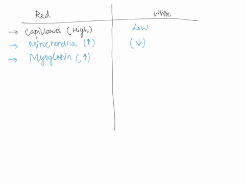 which-of-the-following-incorrectly-pairs-a-type-of-muscle-fiber-with-a-characteristic-of-that-fiber-66934