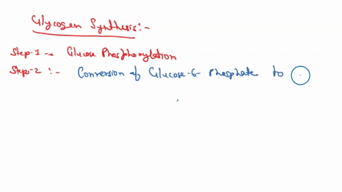 some-glucose-produced-by-gluconeogenesis-is-stored-in-the-body-as-glycogen-order-the-steps-of-glycogen-synthesis-not-all-descriptions-accurately-describe-glycogen-synthesis-therefore-not-all-25914