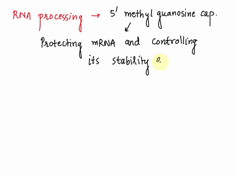 what-would-happen-if-the-5-methyl-guanosine-was-not-added-to-an-mrna-a-the-transcript-would-degrade-56213