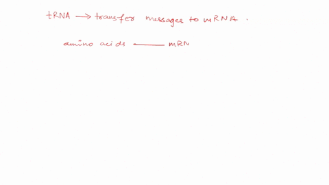 6-whatis-the-function-of-trna-molecules-during-translation-a-they-carry-amino-acids-to-the-ribosome-b-they-unzip-double-stranded-mrna-c-they-encode-the-instructions-for-protein-synthesis-d-t-66678