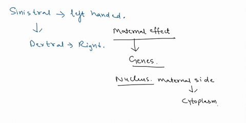Which pieces of information can be used to determine Martha's genotype ...