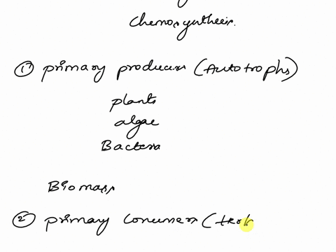ecology-what-is-net-primary-productivity-create-a-pyramid-of-energy-flow-among-trophic-levels-and-briefly-desrcibe-whats-happening-at-each-level-87562