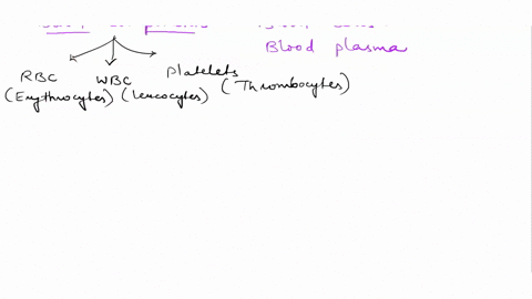 which-of-the-following-cell-types-are-lymphocytes-a-t-cells-b-_-neutrophils-macrophages-erythrocytes-mast-cells-question-69126
