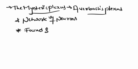 which-of-the-following-is-responsible-for-regulating-motility-and-secretion-within-the-digestive-system-select-an-answer-and-sbmit-forkeyboard-navigation-use-tha-up-down-arrow-keys-to-sslect-74614