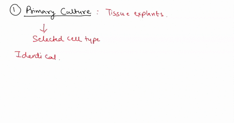 define-the-following-terms-a-primary-culture-b-confluent-c-subculture-or-passage-describe-the-thp1-cells-we-used-what-is-the-function-of-these-types-of-cells-in-the-human-body-1-3-sentences-06936