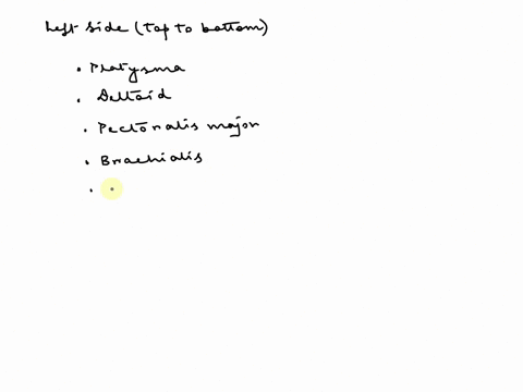 art-labeling-activityanterior-muscles-of-the-upper-body-7of50-drag-the-appropriate-labels-to-their-respective-targets-reset-help-platysma-ntransversusabdominis-pectorals-major-internal-obliq-79919