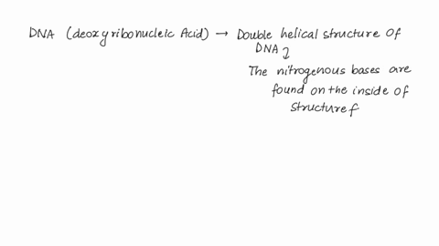 which-of-the-following-statements-best-describes-why-the-sugar-phosphate-nucleic-acid-backbone-is-on-the-outer-part-of-the-dna-double-helix-while-the-the-inside-of-the-double-helix-nitrogen-19687
