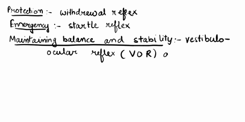 how-are-reflexes-important-for-human-survival-08228