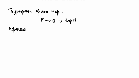 the-t-r-p-operon-in-e-coli-encodes-enzymes-essential-for-the-biosynthesis-of-tryptophan-the-general-04355